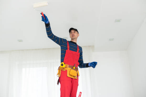Best Airborne Mold Testing  in Laymantown, VA